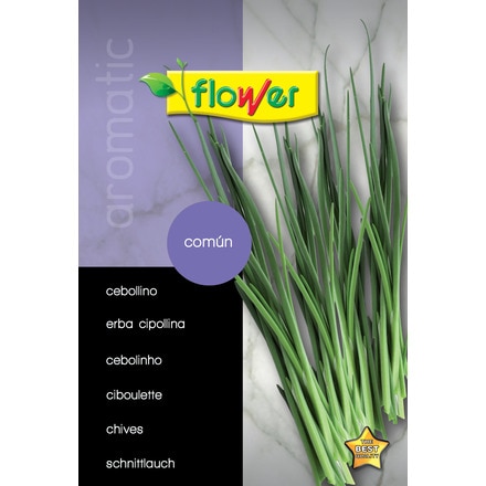 Image of Cebollino Comun 000900104050