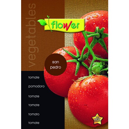 Image of Tomate San Pedro 000900104142