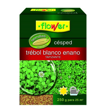 Image of Semilla Trébol Enano 000901000745