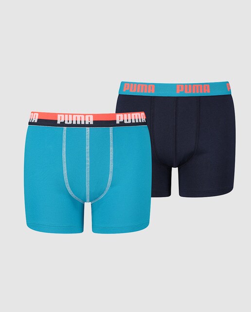 boxer puma cat boxer puma cat