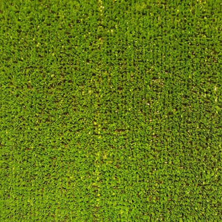 Image of Césped New Chicago 5 Mm - Venta Por M² 000914500244
