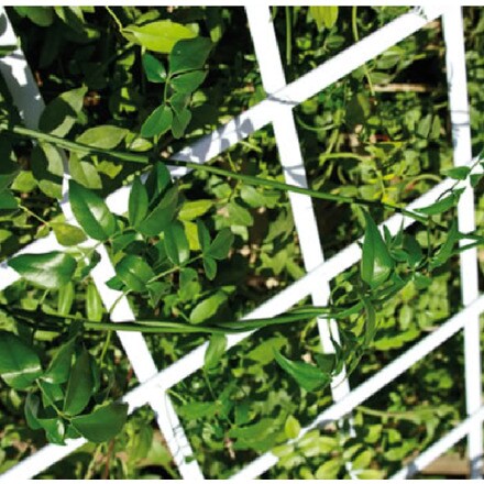 Image of Celosía Extens Plástico Bl 000966400863