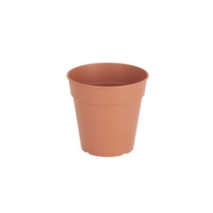 Image of Maceta Producción Madagascar 15 000927010173