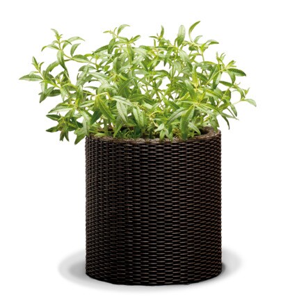 Image of Maceta Planter R Md 000927007286