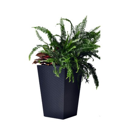 Image of Maceta Planter Md 5,5l 000927007310