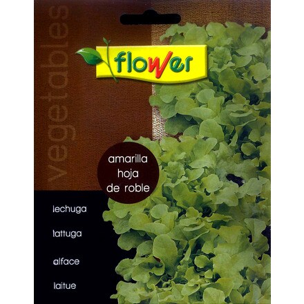 Image of Lechuga Bionda Hoja De Roble 000900103466