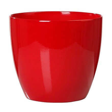 Image of Macetero Poinsetia 000931007231