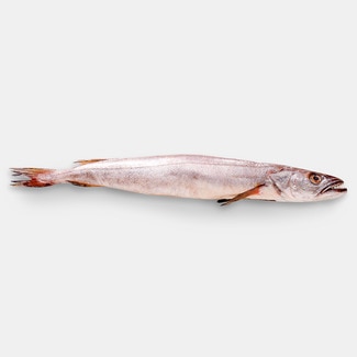 Pescadilla Fina De Costa Peso Aproximado Pieza 300 G Supermercado El