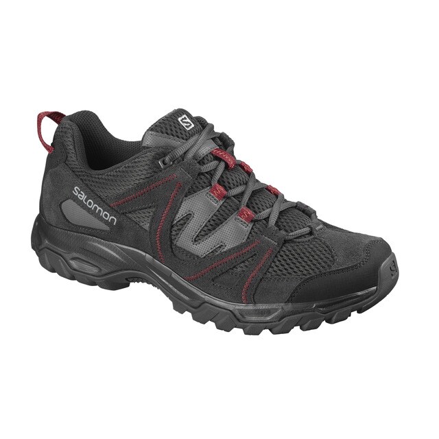 salomon kinchega 2