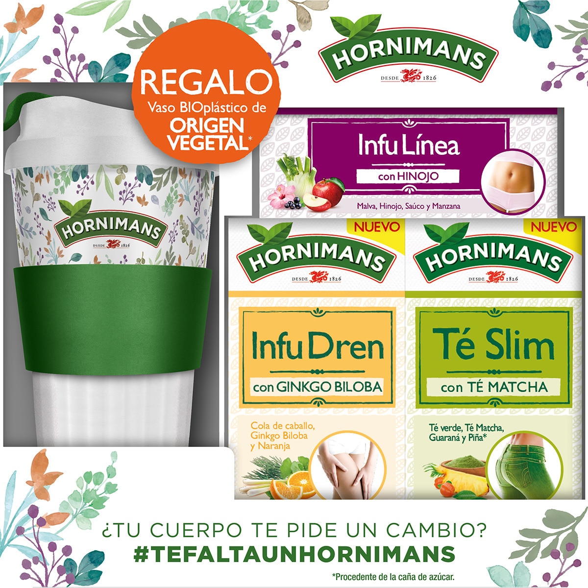 Pack De Infudren Con Gingko Biloba Y T Slim Con T Matcha Envase Con