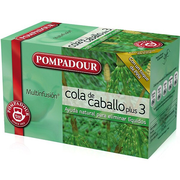 Te De Cola De Caballo En Ingles