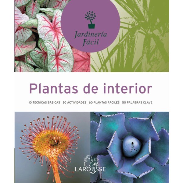 Plantas de interior.pdf