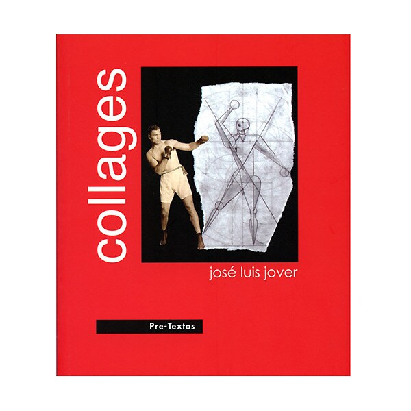 Collages (Tapa blanda)