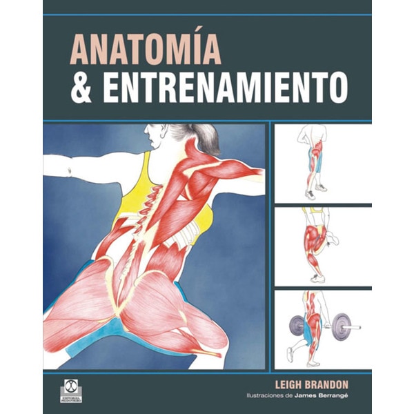 Anaomía & entrenamiento.pdf