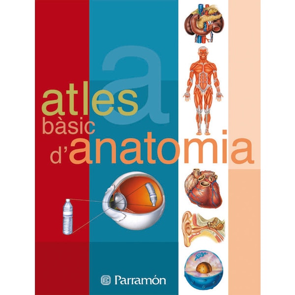 Imagem 0 de Atles bàsic d'Anatomia (Capa mole)