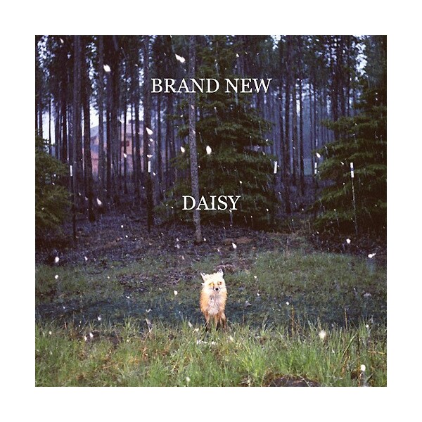 Daisy Cd Brand new