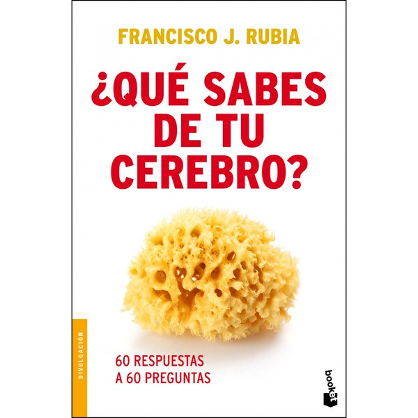 ¿que sabes de tu cerebro?.pdf