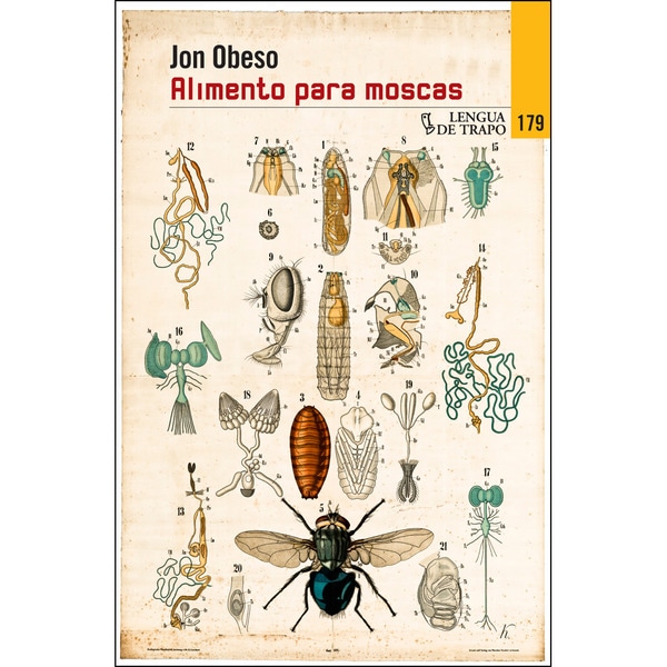Alimentos para moscas (Tapa blanda)