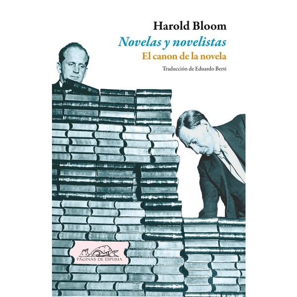 Novelas y novelistas: el canon de la novela