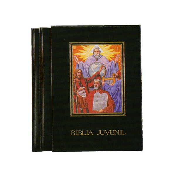 Biblia juvenil mod 6