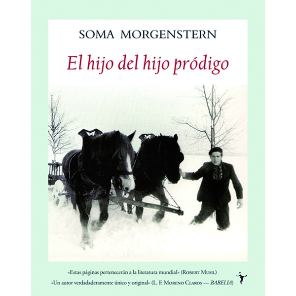 El hijo del hijo prodigo (Tapa blanda con solapas)