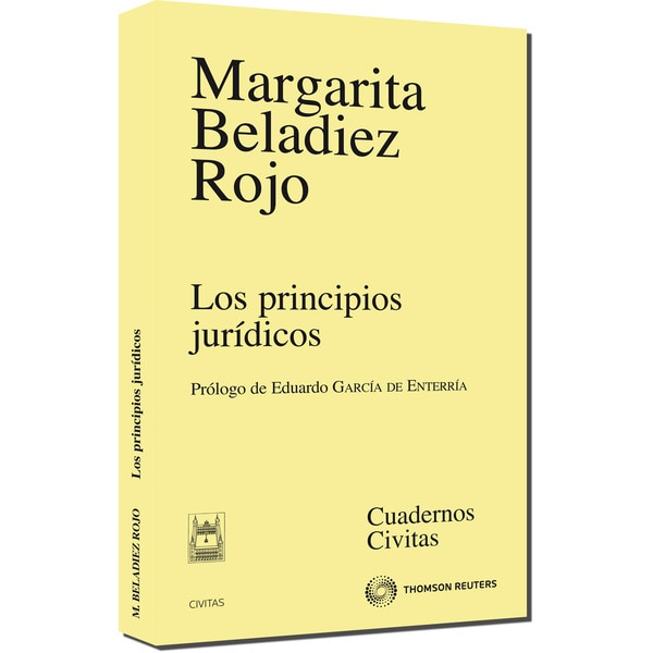 Los principios jurídicos.pdf