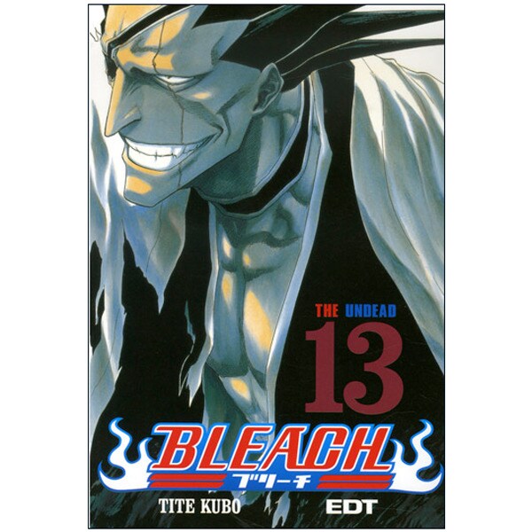 Bleach, 13.pdf