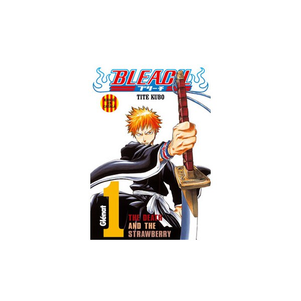 Bleach 1.pdf