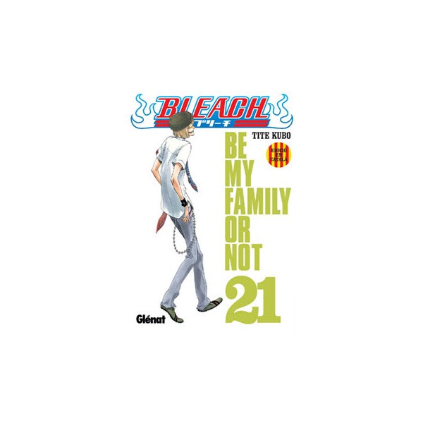 Bleach nº21.pdf