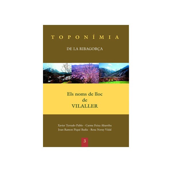 Els noms de lloc de vilaller.pdf