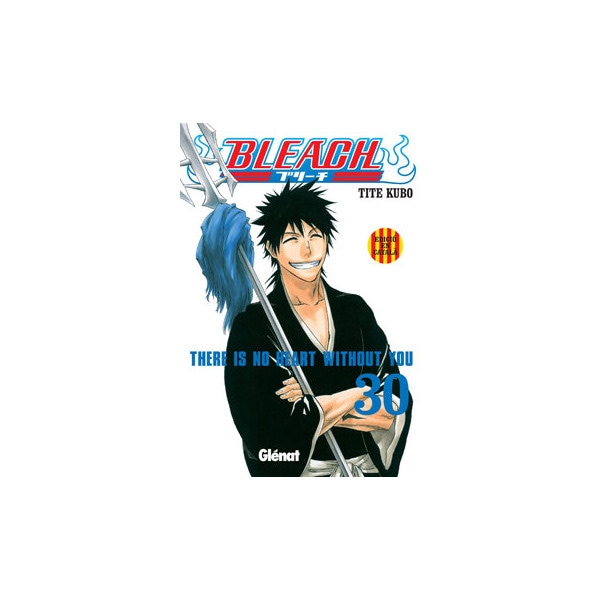 Bleach nº30.pdf