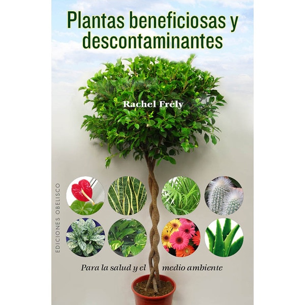 Plantas beneficiosas y descontaminantes.pdf