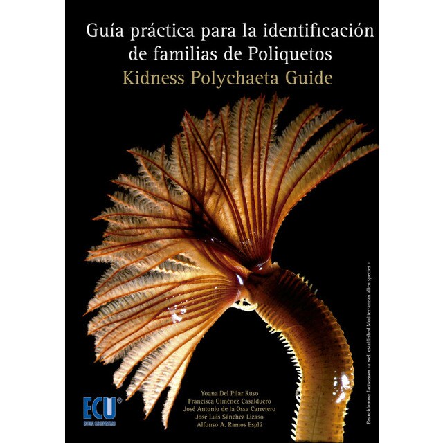 Guía práctica identificación familias de poliquetos.pdf