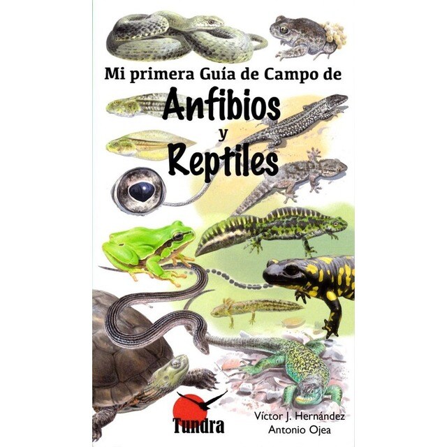 ANFIBIOS Y REPTILES.pdf