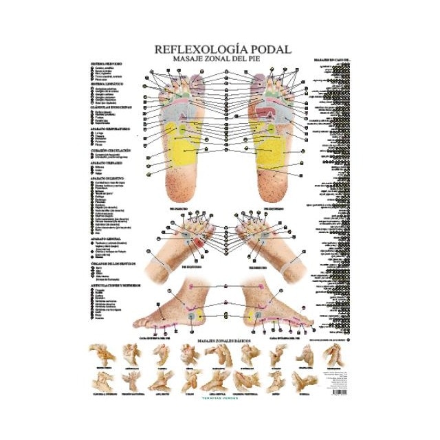 REFLEXOLOGÍA PODAL.pdf