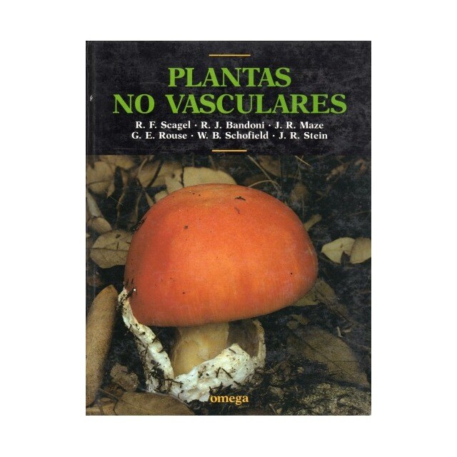 PLANTAS NO VASCULARES.pdf