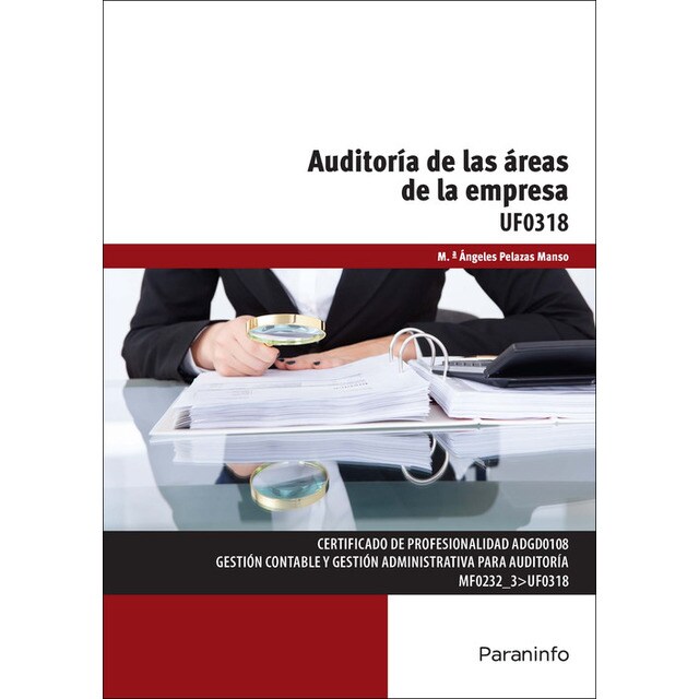 Auditoría de las áreas de la empresa.pdf