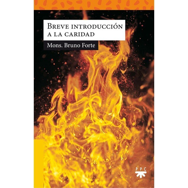 BREVE INTRODUCCIÓN A LA CLARIDAD.pdf