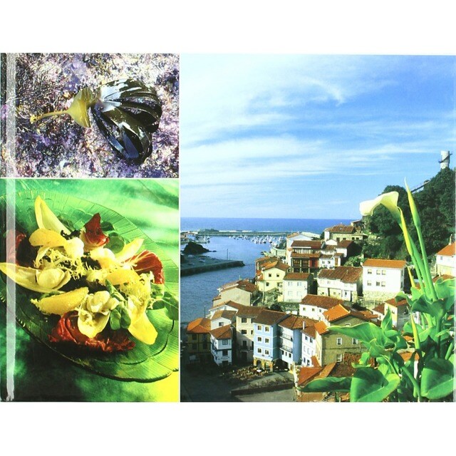 El alga palmaria en la gastronomía.pdf