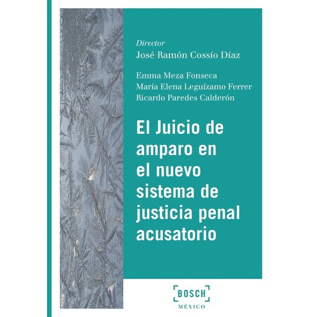 ASPECTOS REGISTRALES DEL PROCESO DE EJECUCIÓN.pdf