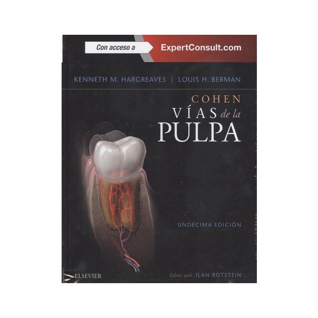Vias de la pulpa.pdf