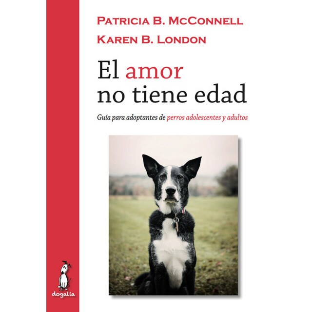 El amor no tiene edad.pdf
