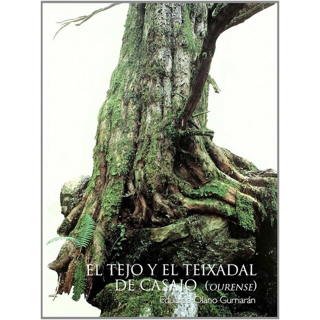 El tejo y teixadal de casaio.pdf