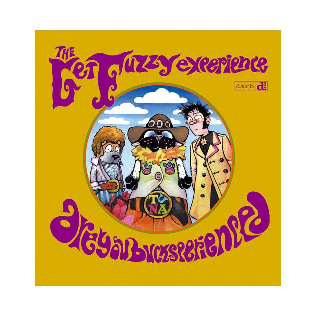 Get Fuzzy, 3 Experience.pdf