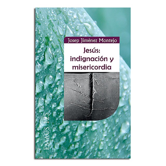 Jesús: indignación y misericordia.pdf