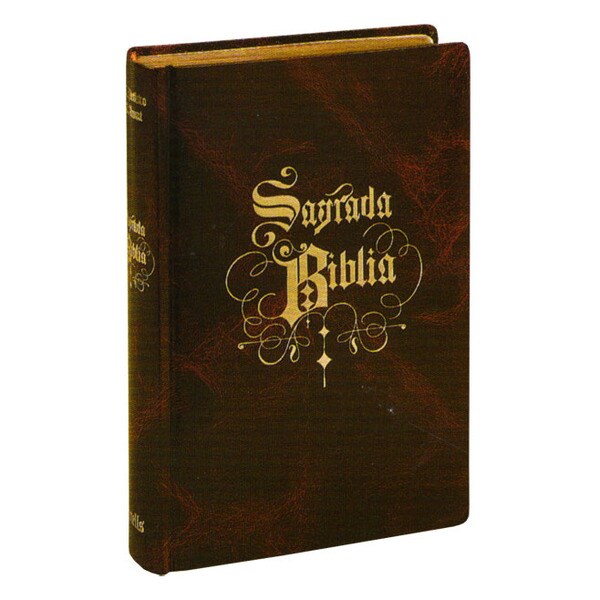Sagrada biblia.pdf