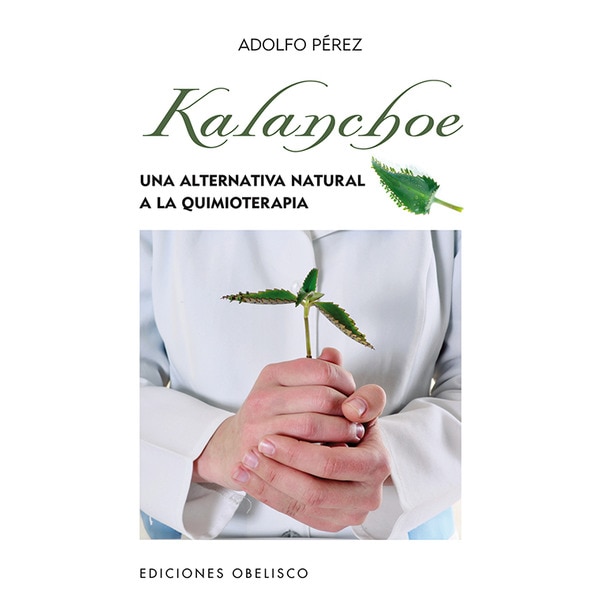Kalanchoe.pdf