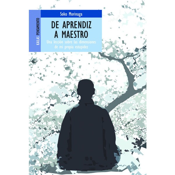 De aprendiz a maestro (Tapa dura)