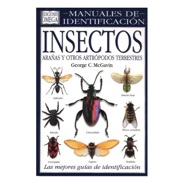 Insectos.pdf