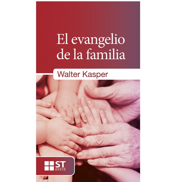 El evangelio de la familia (Tapa blanda)